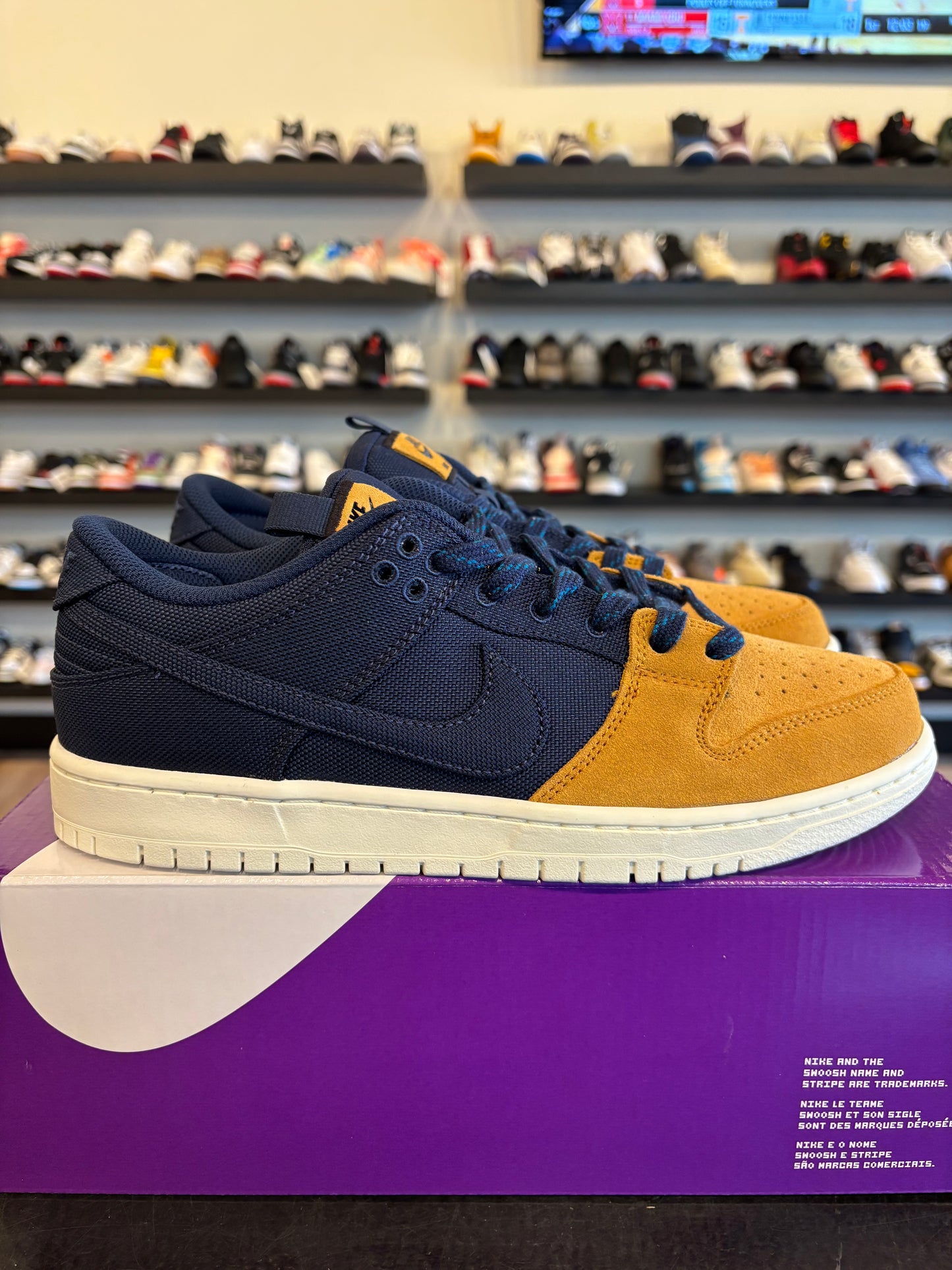 Nike SB Dunk Low Backpack Size 9 Brand New