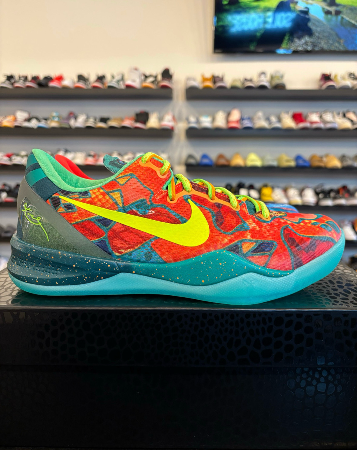 Nike Kobe 8 Protro What The 2025 Size 9 Brand New