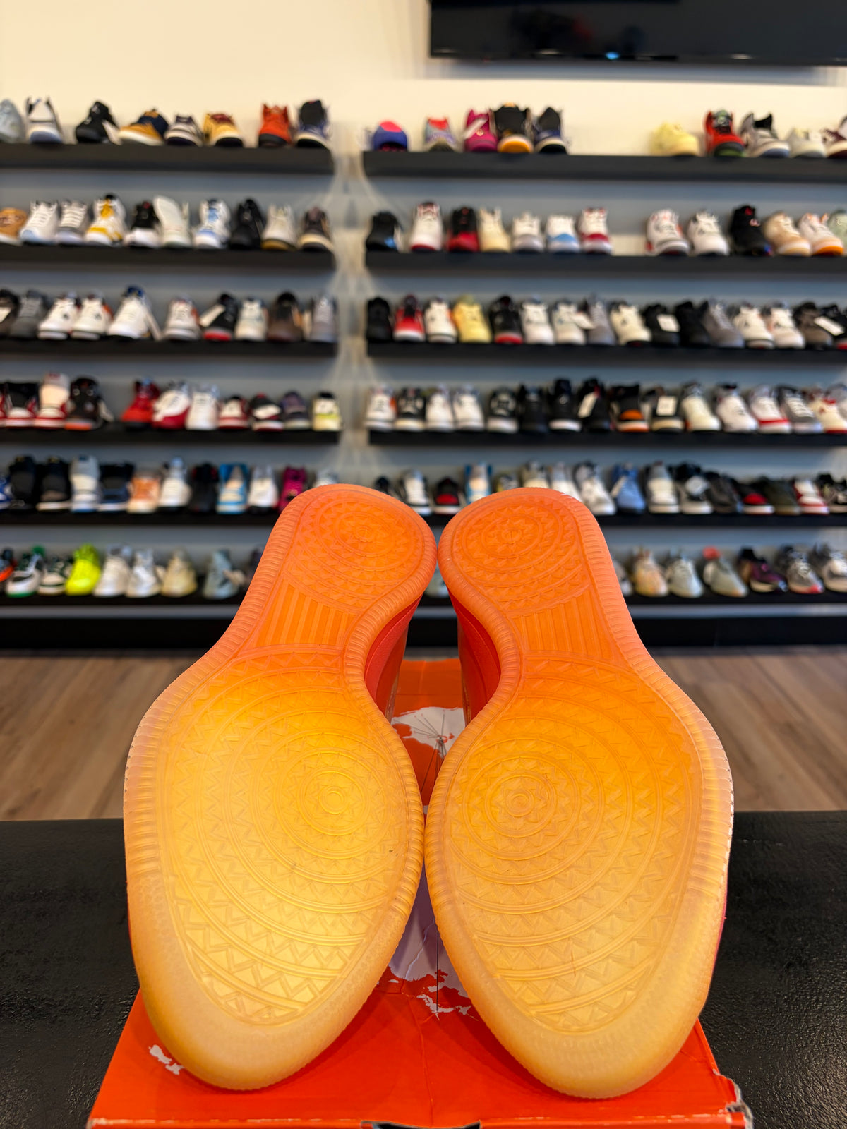 Nike Book 2 Phoenix Size 11 Brand New
