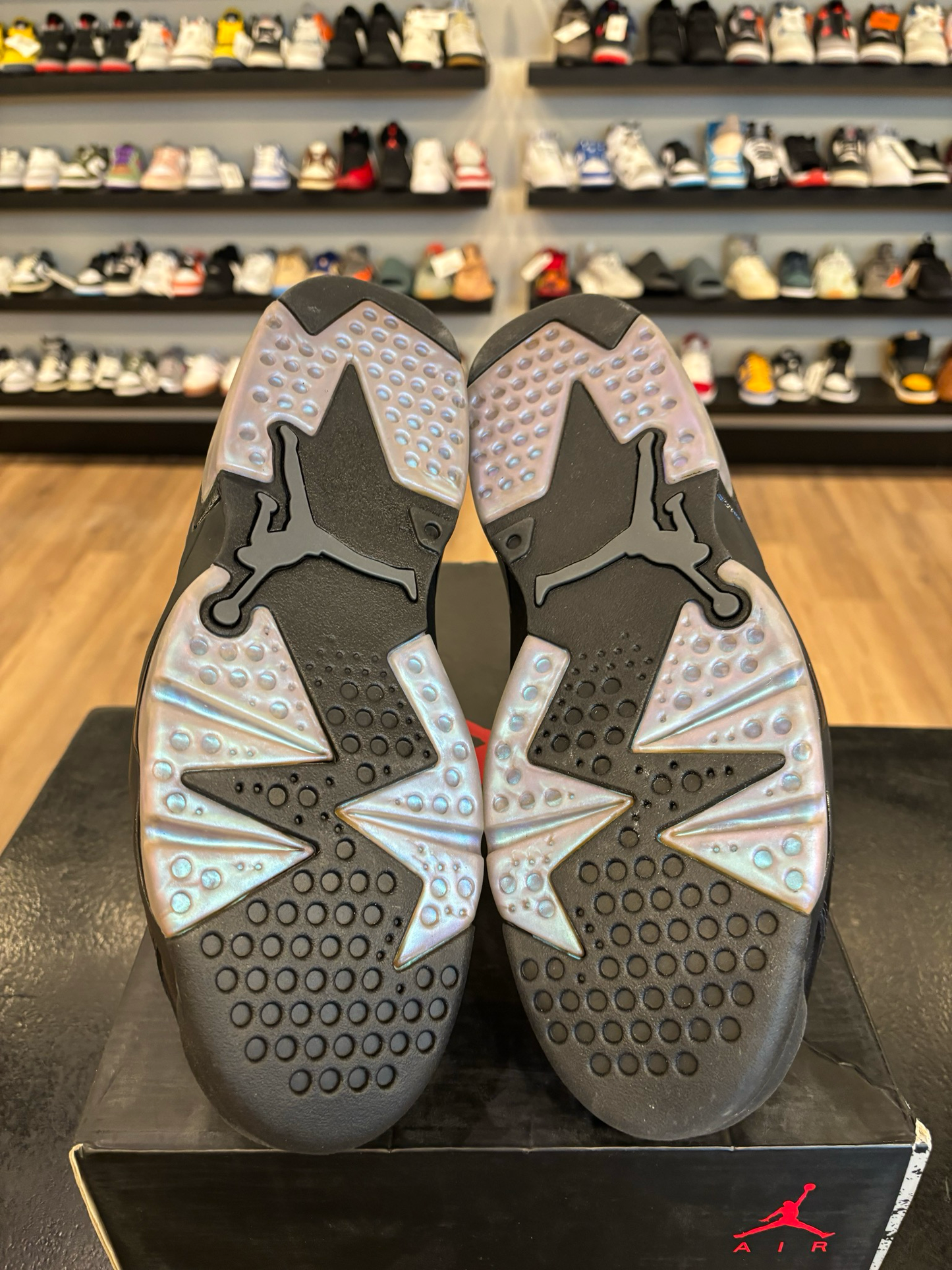 Jordan 6 All Star Chameleon Size 10 Brand New