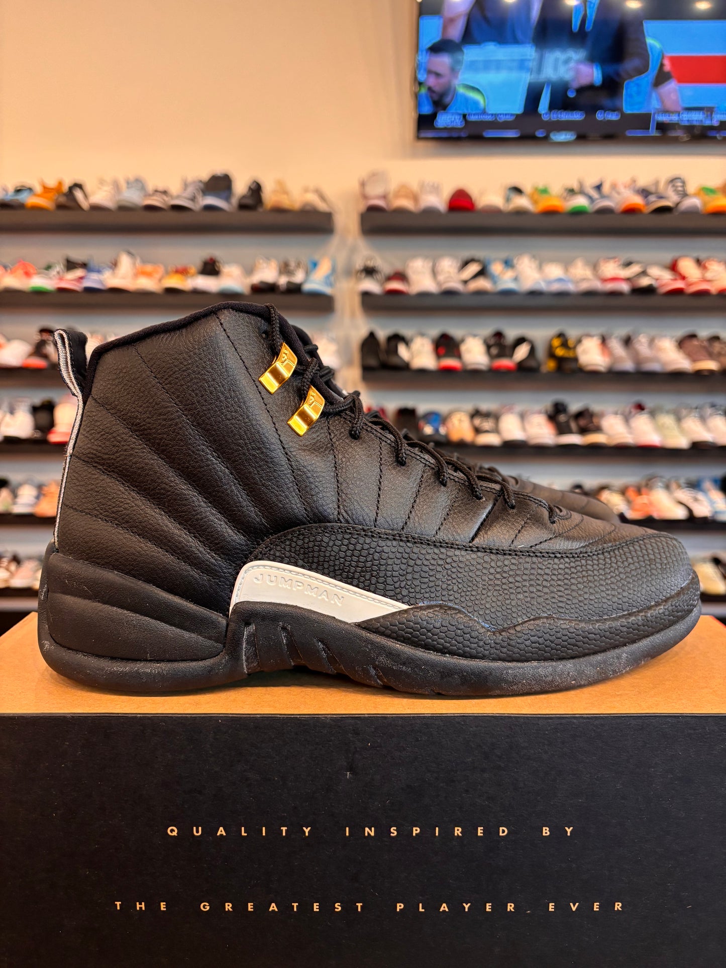 Jordan 12 The Master Size 10 Brand New