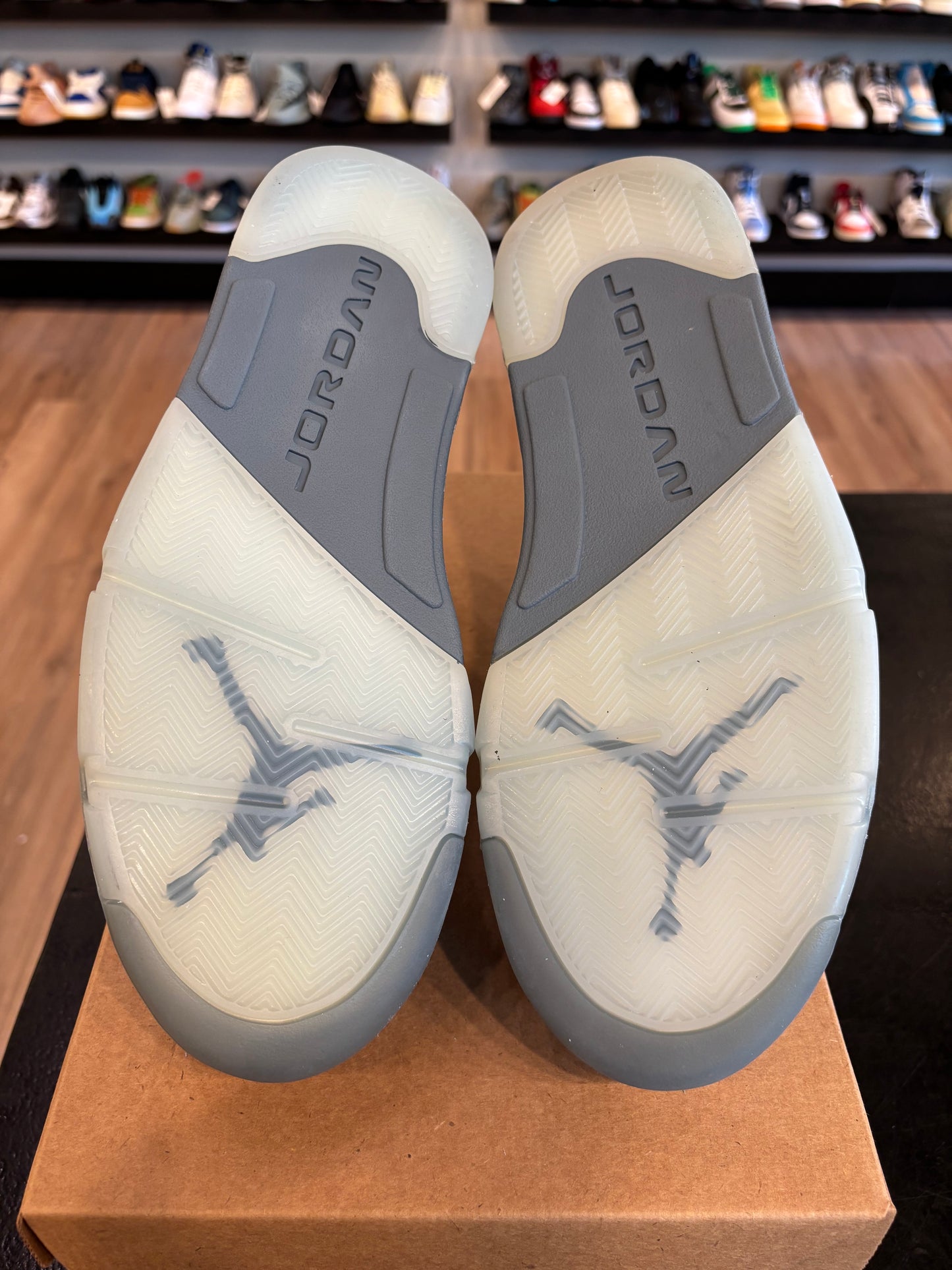 Jordan 5 Bluebird Size 9 (10.5W) Brand New (No Box)