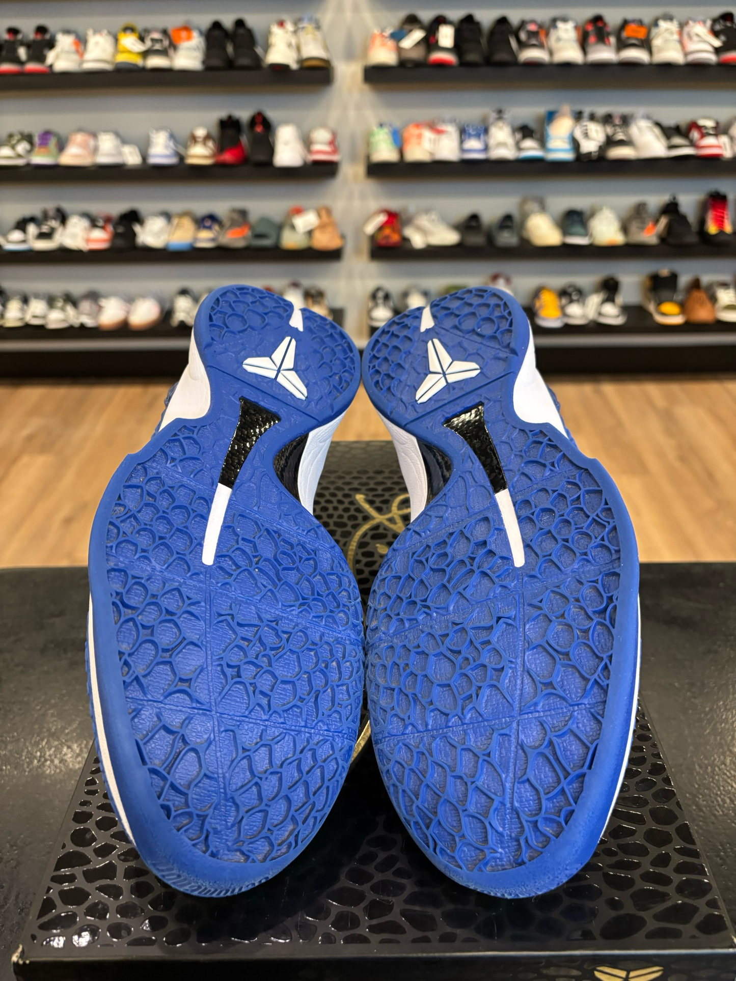 Nike Kobe 6 Protro Dodger Size 9 Pre-Owned