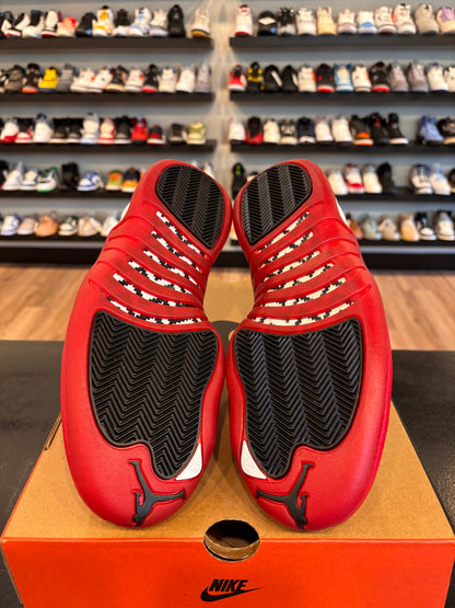 Jordan 12 Cherry 2023 Size 9.5 Brand New