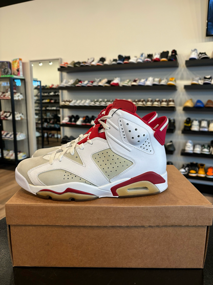 Jordan 6 Alternate Size 10 Pre-Owned (No Box)
