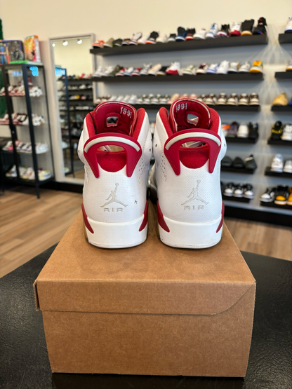 Jordan 6 Alternate Size 10 Pre-Owned (No Box)