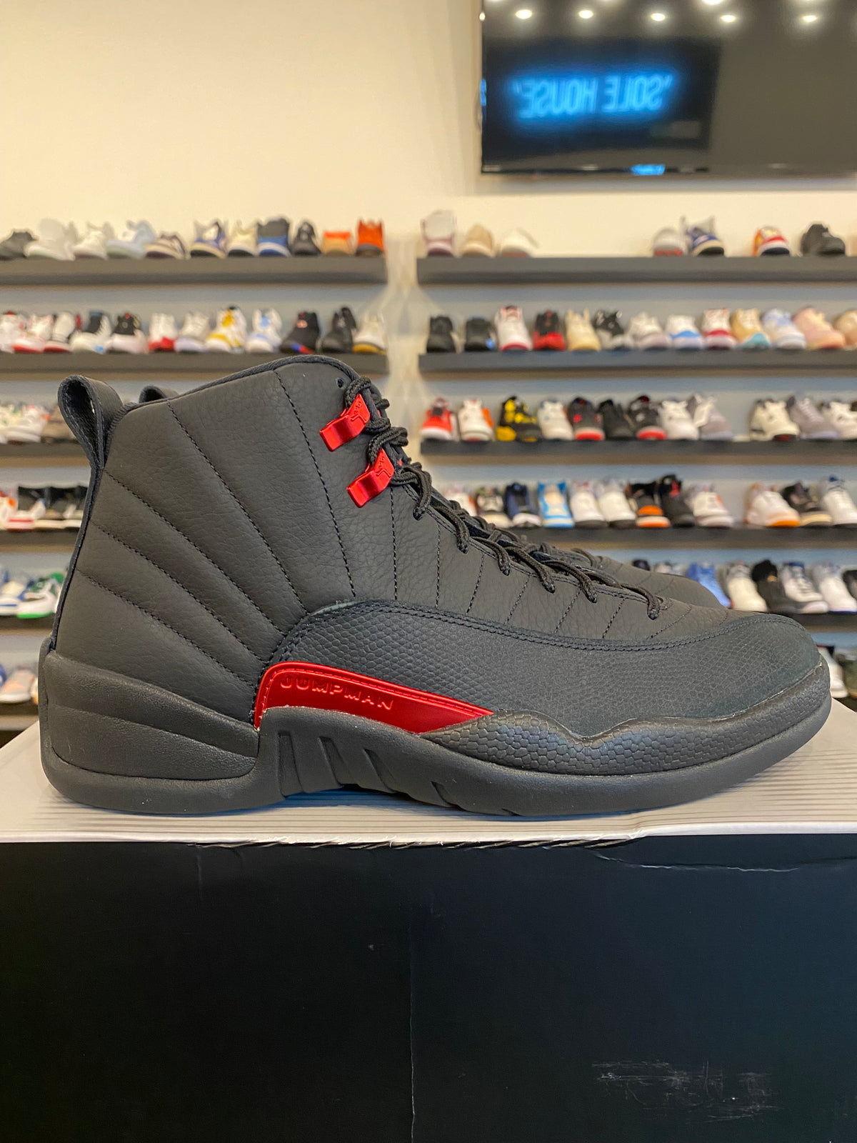 Jordan 12 Bloodline Size 9.5 Brand New