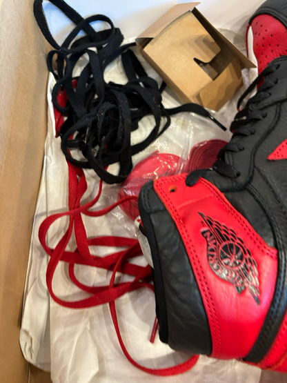 Jordan 1 Homage To Home Size 10 Pre-Owned