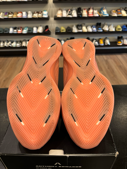 Adidas AE 1 Georgia Clay Size 11 Pre-Owned