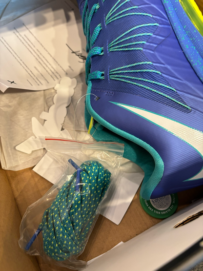 Nike Air Max LeBron 10 Low Sprite Size 10.5 Brand New