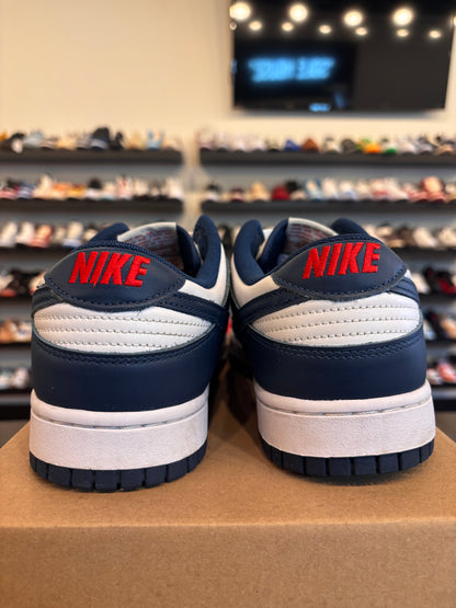 Nike Dunk Low Valerian Size 12 Pre-Owned (No Box)