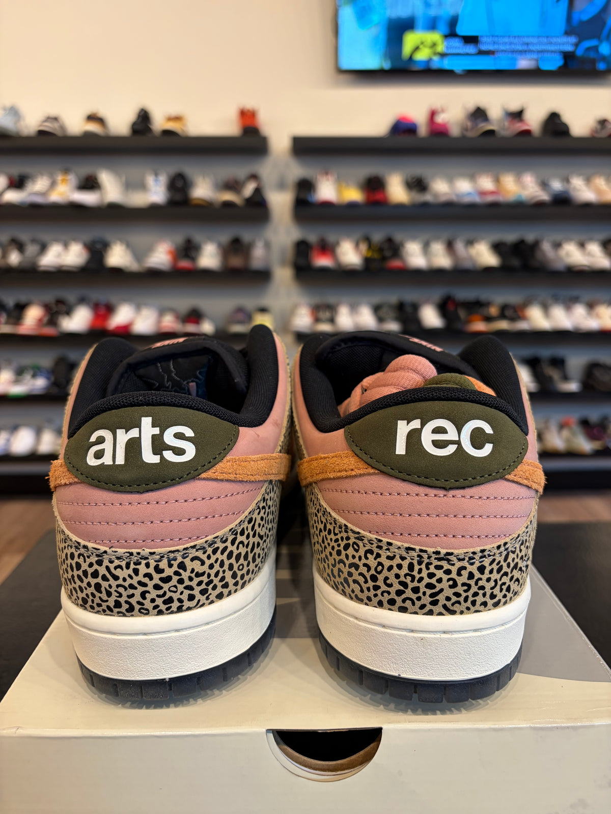 Nike SB Dunk Low Arts & Rec Size 13 Brand New