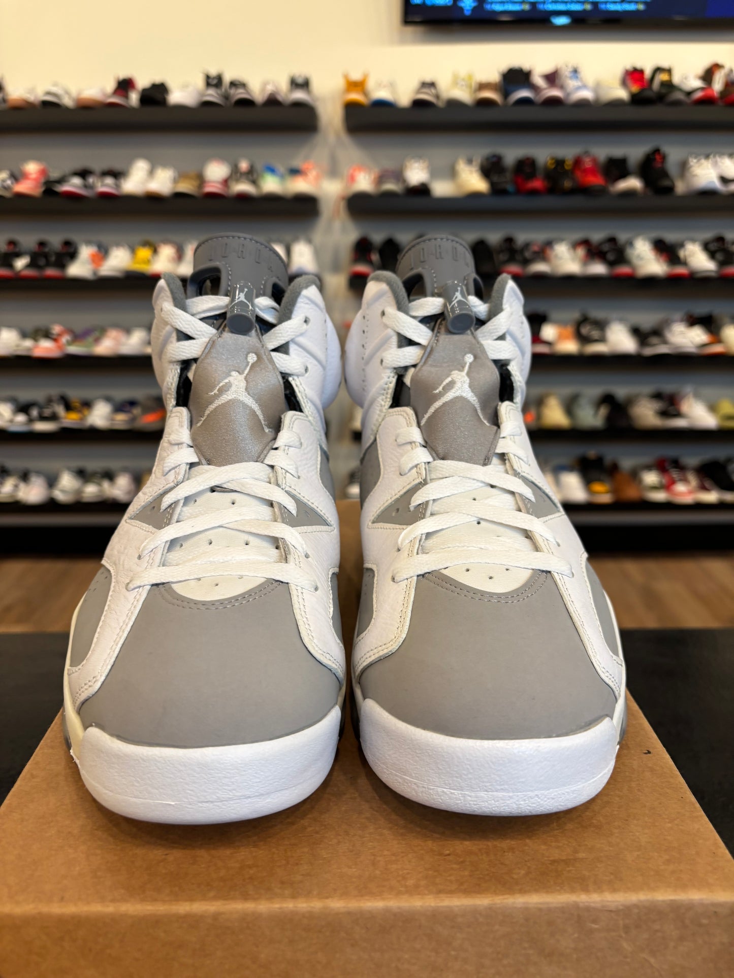 Jordan 6 Cool Grey Size 9.5 Pre-Owned (No Box)