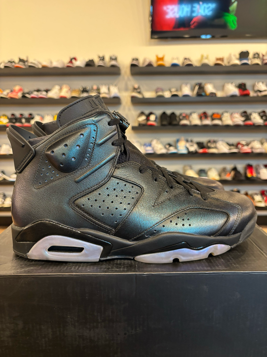 Jordan 6 All Star Chameleon Size 10 Brand New