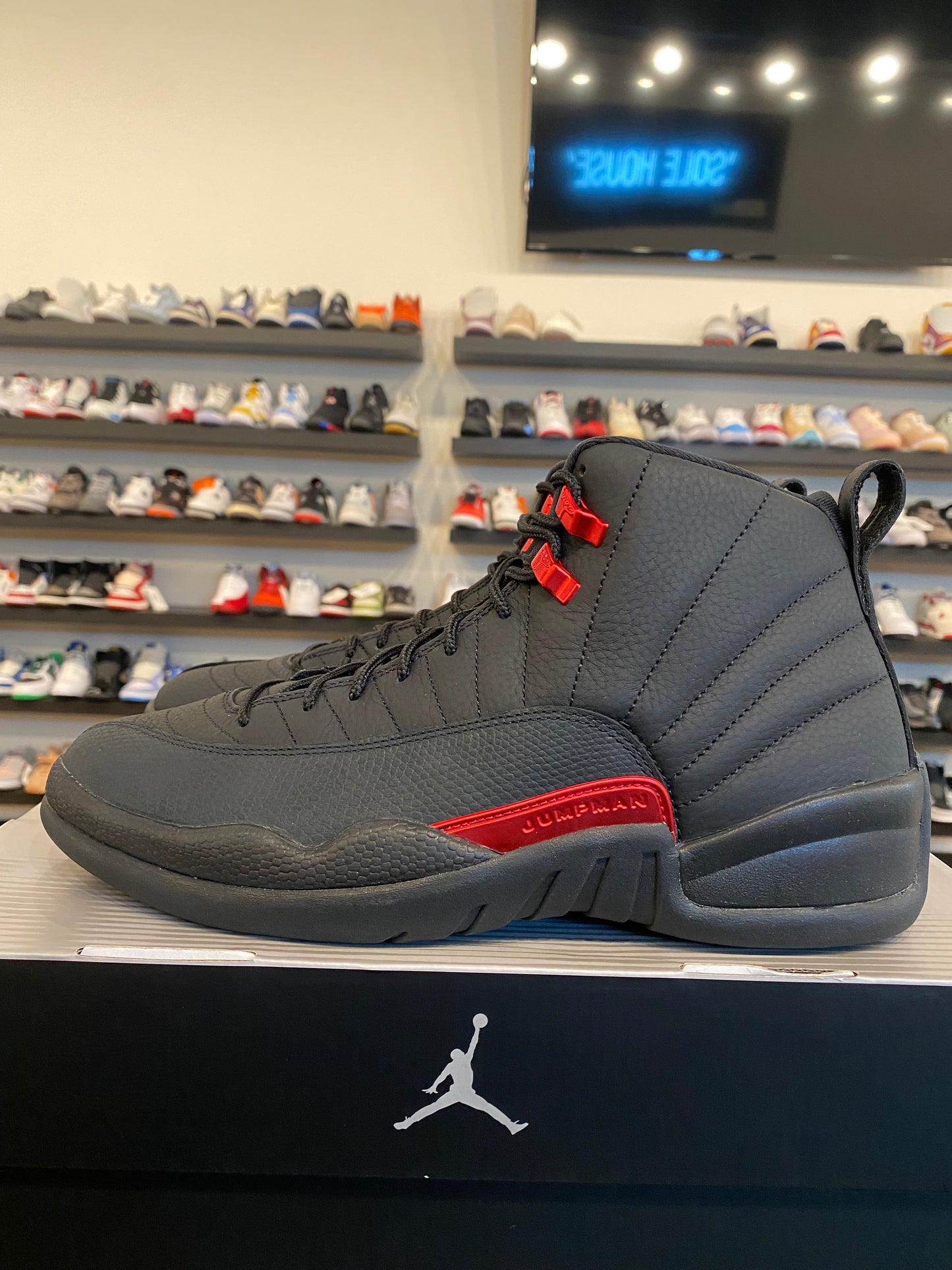 Jordan 12 Bloodline Size 9.5 Brand New