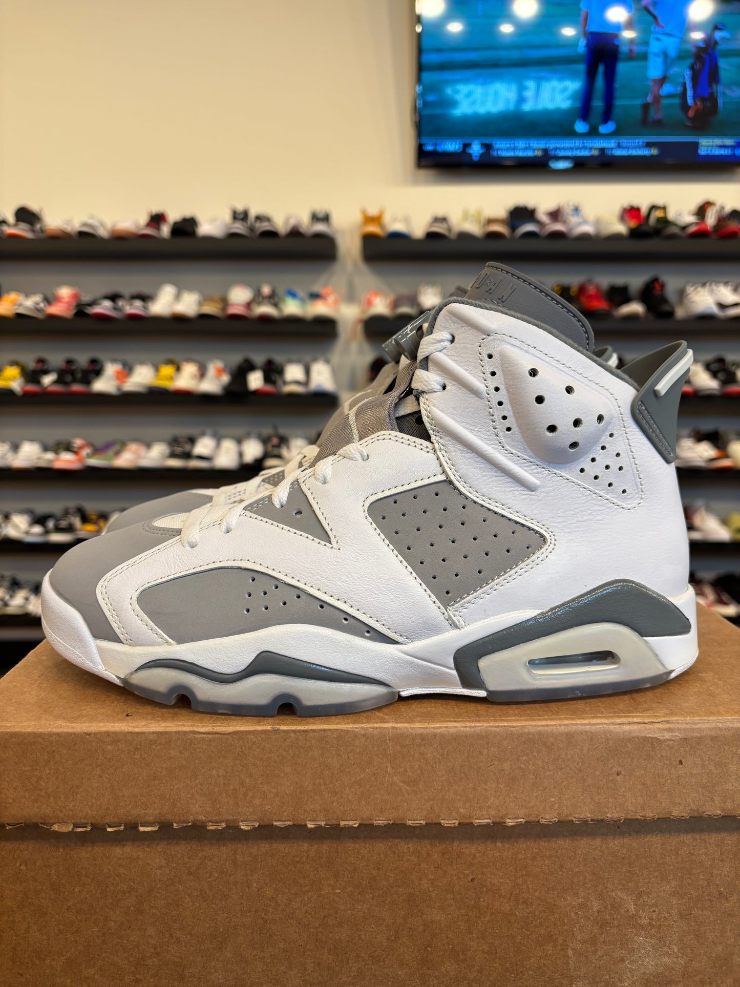 Jordan 6 Cool Grey Size 9.5 Pre-Owned (No Box)