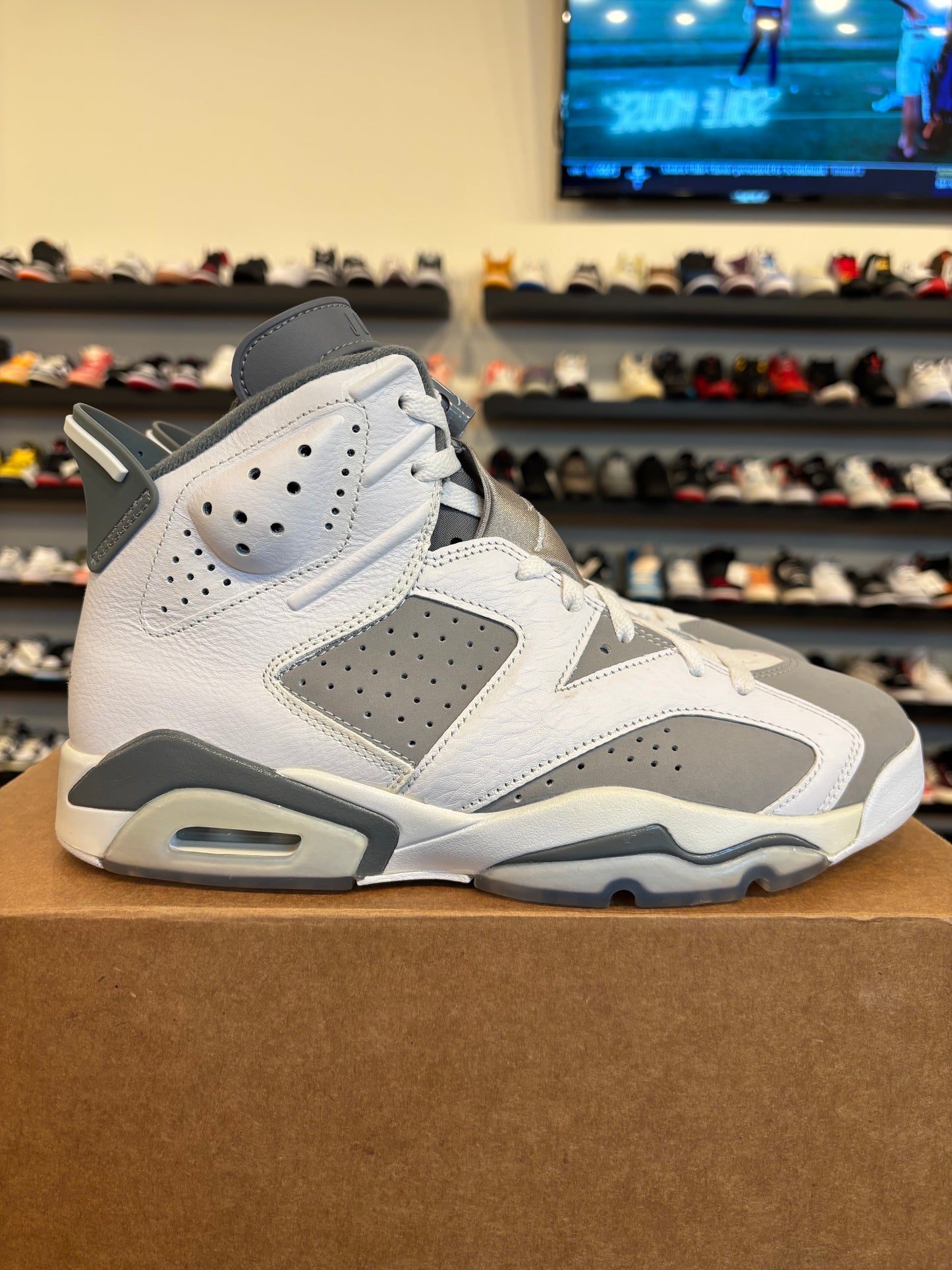 Jordan 6 Cool Grey Size 9.5 Pre-Owned (No Box)
