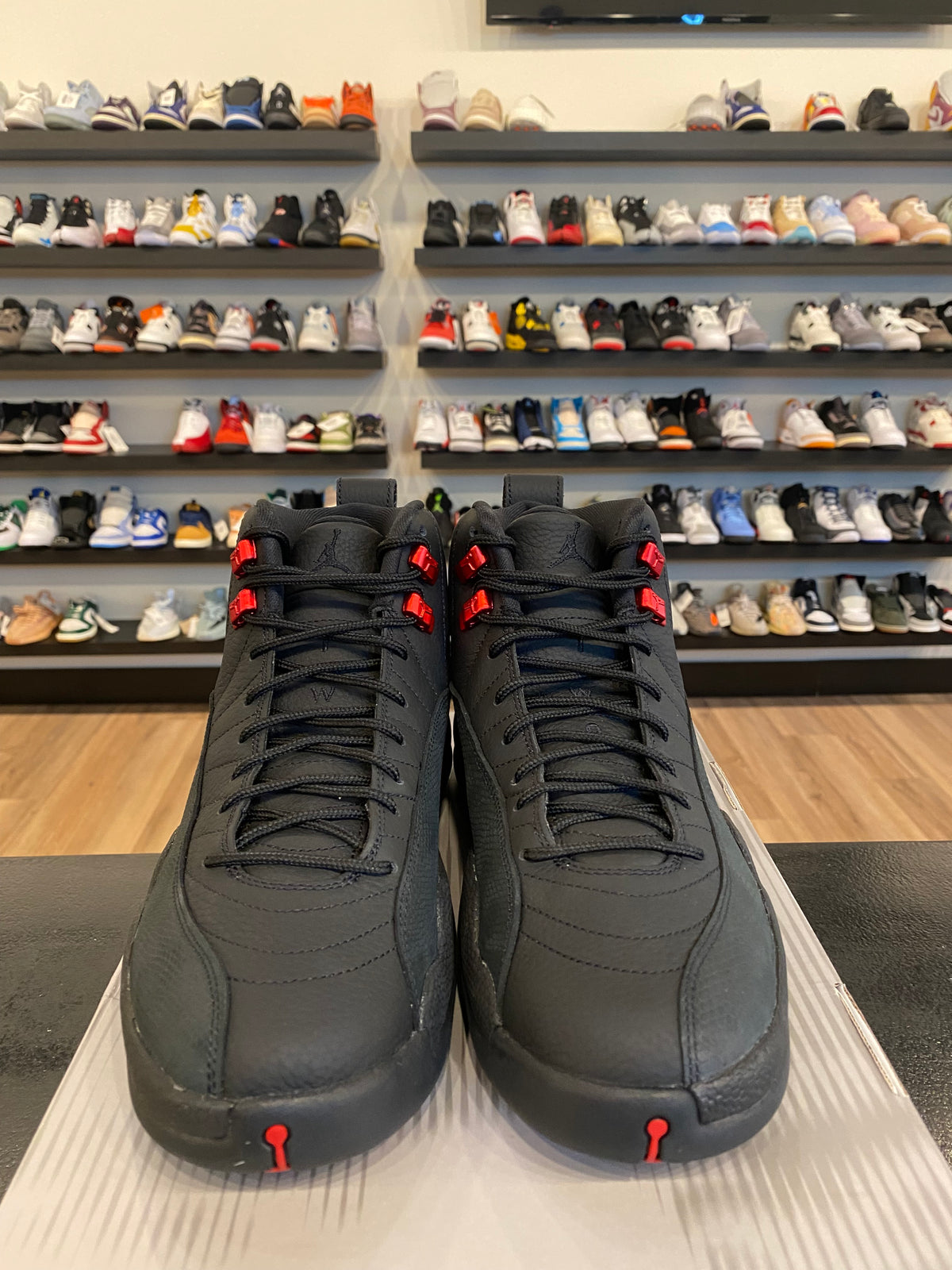 Jordan 12 Bloodline Size 9.5 Brand New