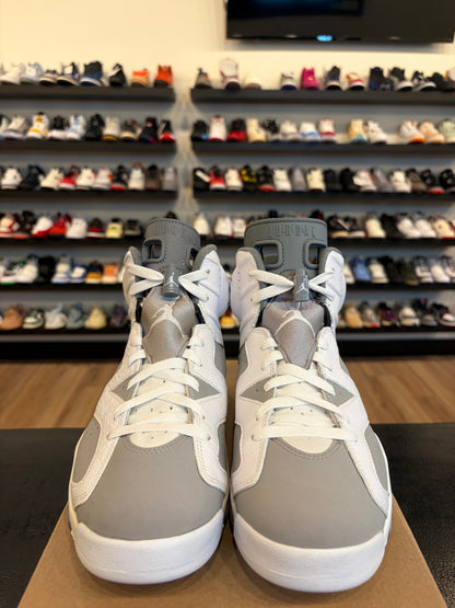 Jordan 6 Cool Grey Size 9.5 Pre-Owned (No Box)