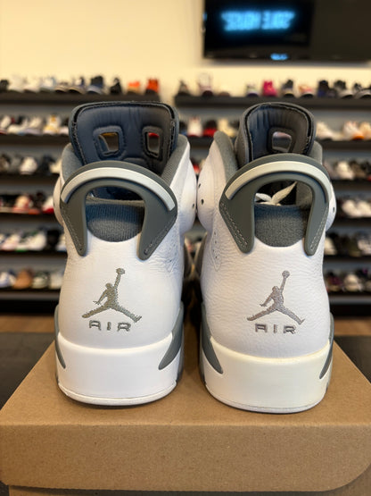 Jordan 6 Cool Grey Size 9.5 Pre-Owned (No Box)