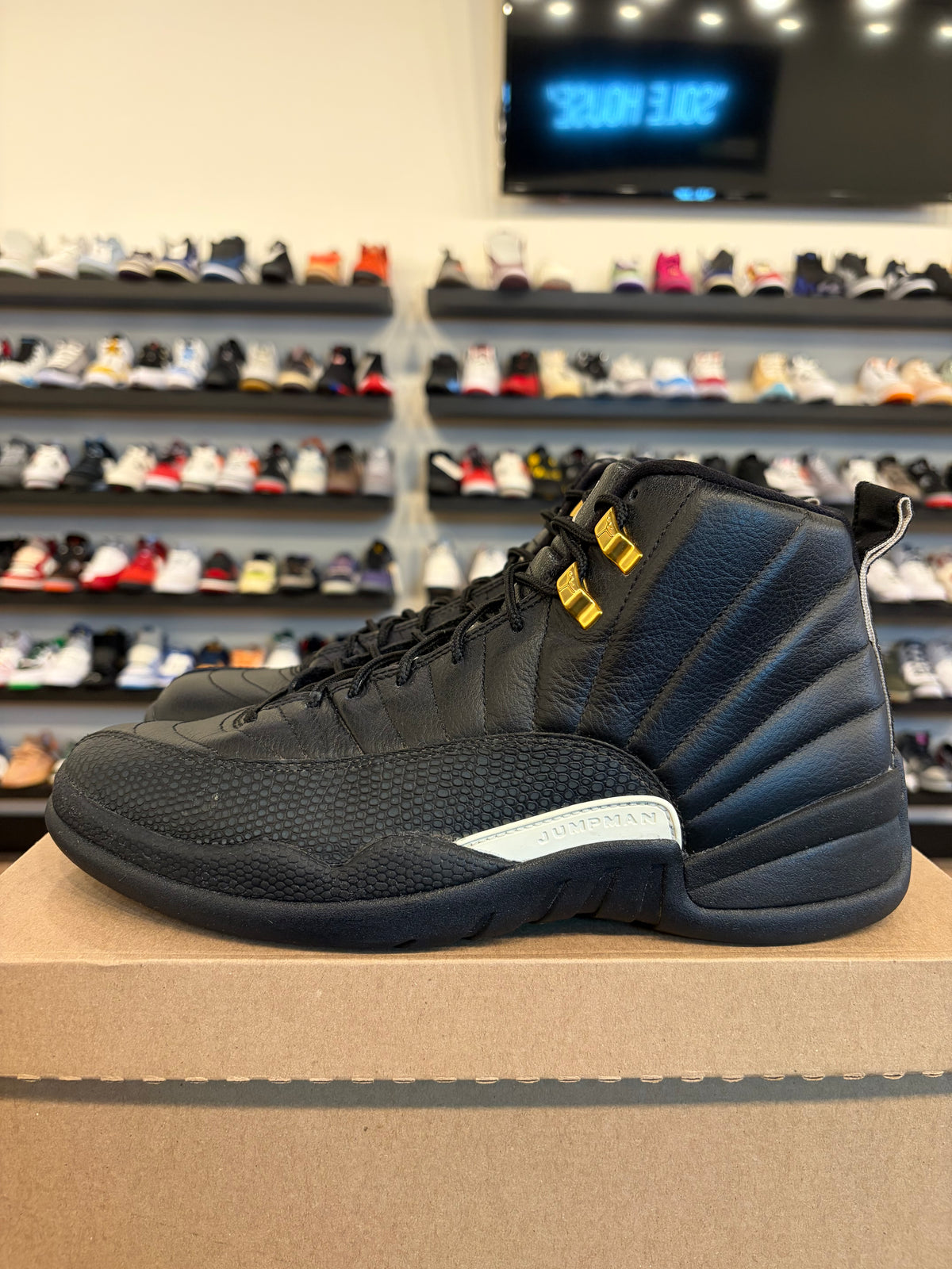 Jordan 12 The Master Size 10.5 Pre-Owned (No Box)