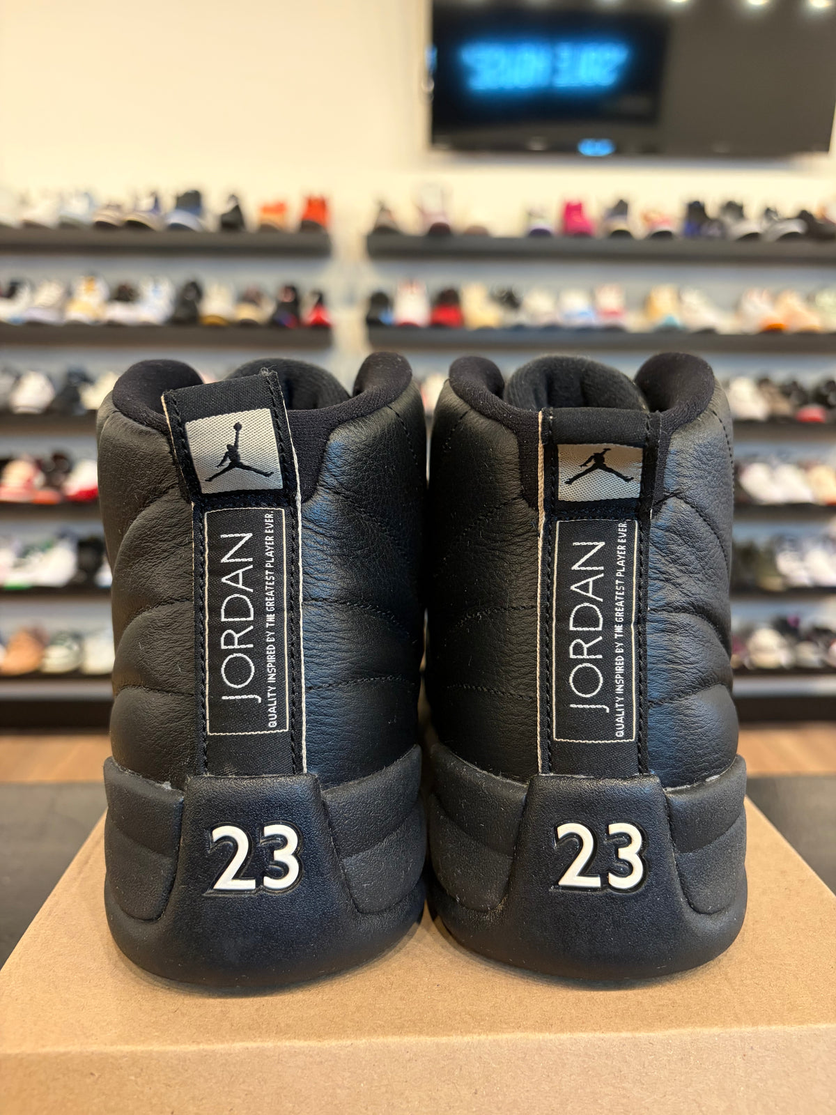 Jordan 12 The Master Size 10.5 Pre-Owned (No Box)