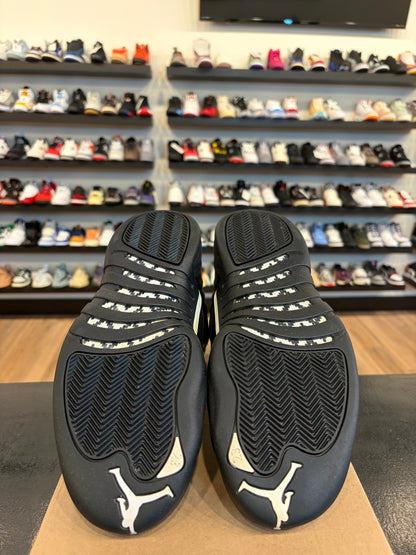Jordan 12 The Master Size 10.5 Pre-Owned (No Box)