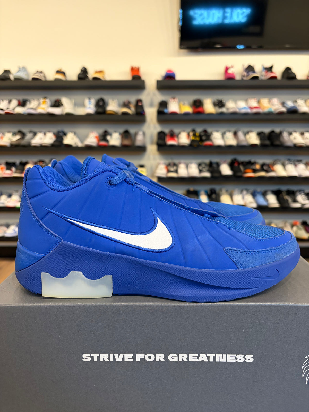 Nike LeBron Witness IX Blue Size 10.5 Pre-Owned
