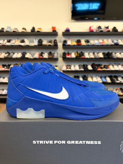 Nike LeBron Witness IX Blue Size 10.5 Pre-Owned