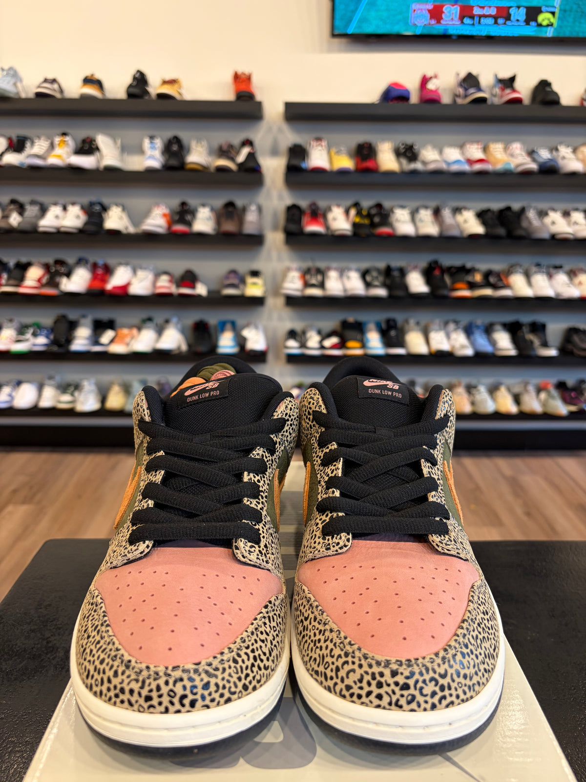 Nike SB Dunk Low Arts & Rec Size 13 Brand New