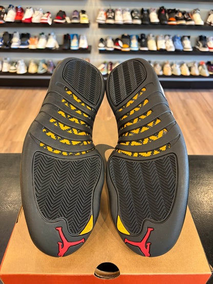 Jordan 12 Taxi Size 12 Pre-Owned