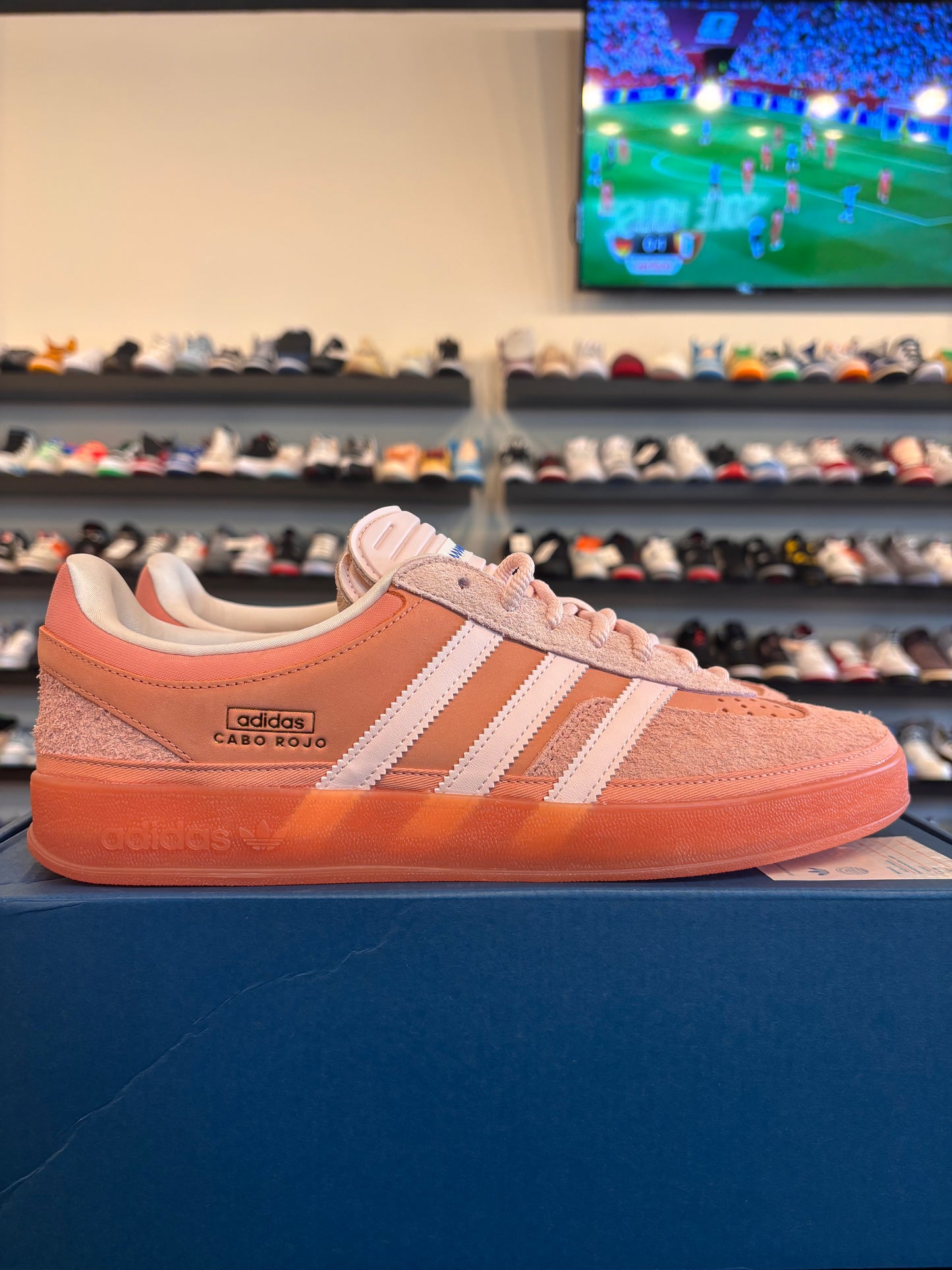 Adidas Bad Bunny Gazelle Cabo Rojo Size 12 Brand New