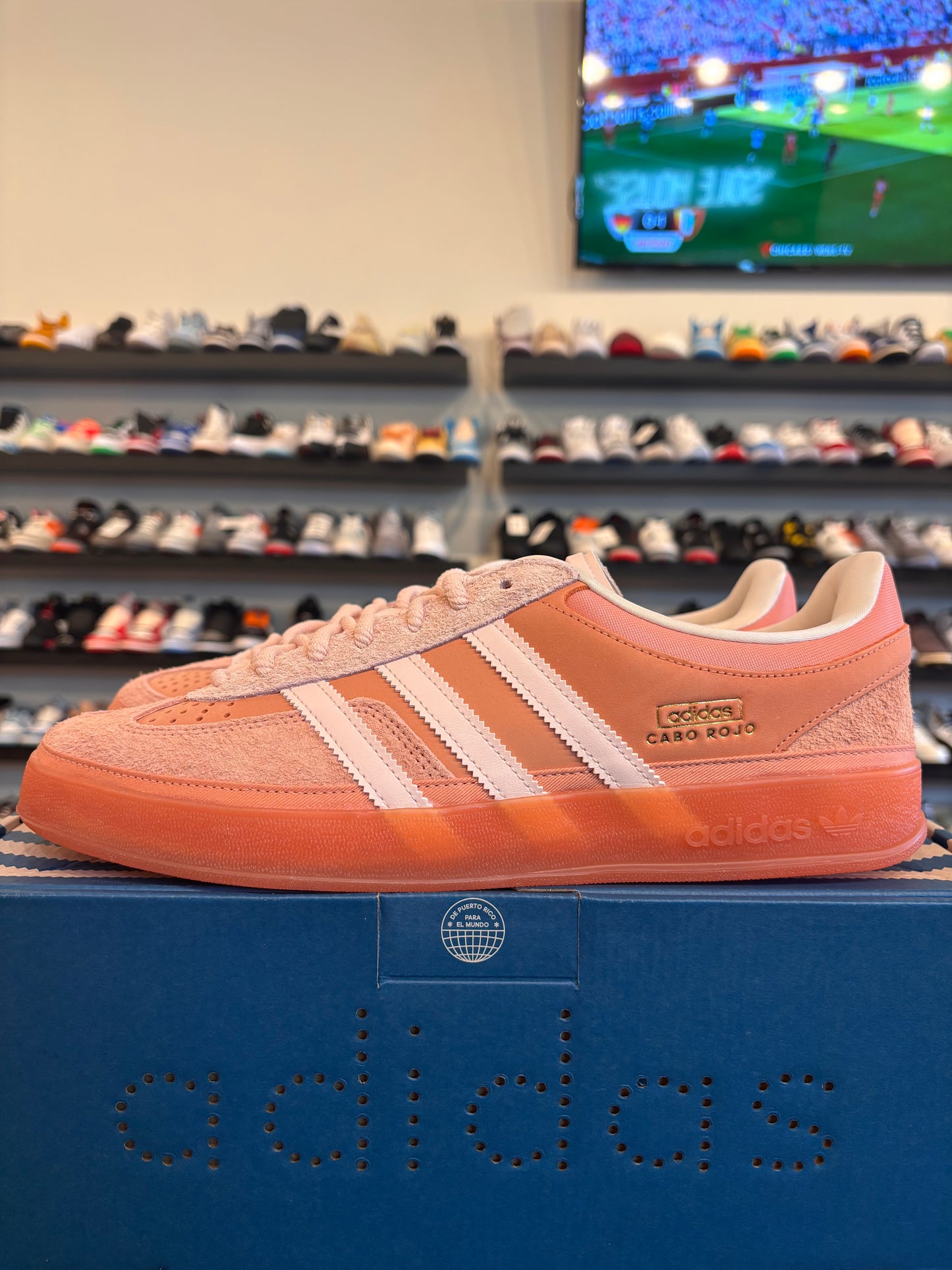 Adidas Bad Bunny Gazelle Cabo Rojo Size 12 Brand New