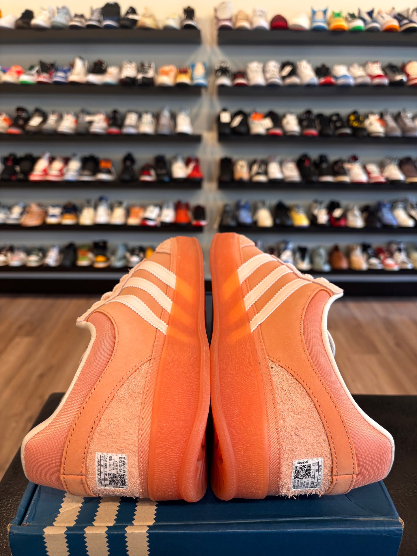 Adidas Bad Bunny Gazelle Cabo Rojo Size 12 Brand New