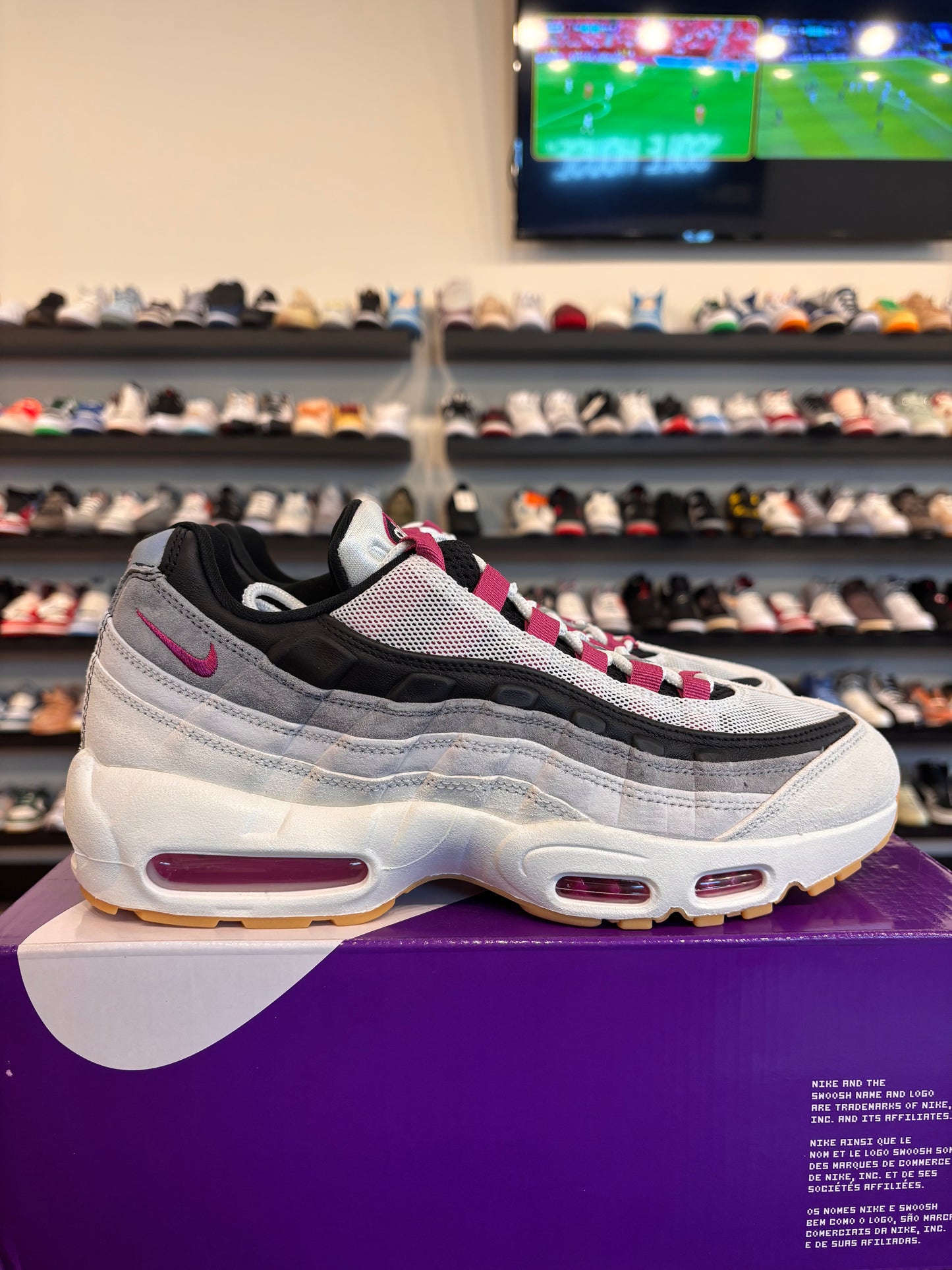 Nike Air Max 95 SB Cactus Flower Size 11 Brand New