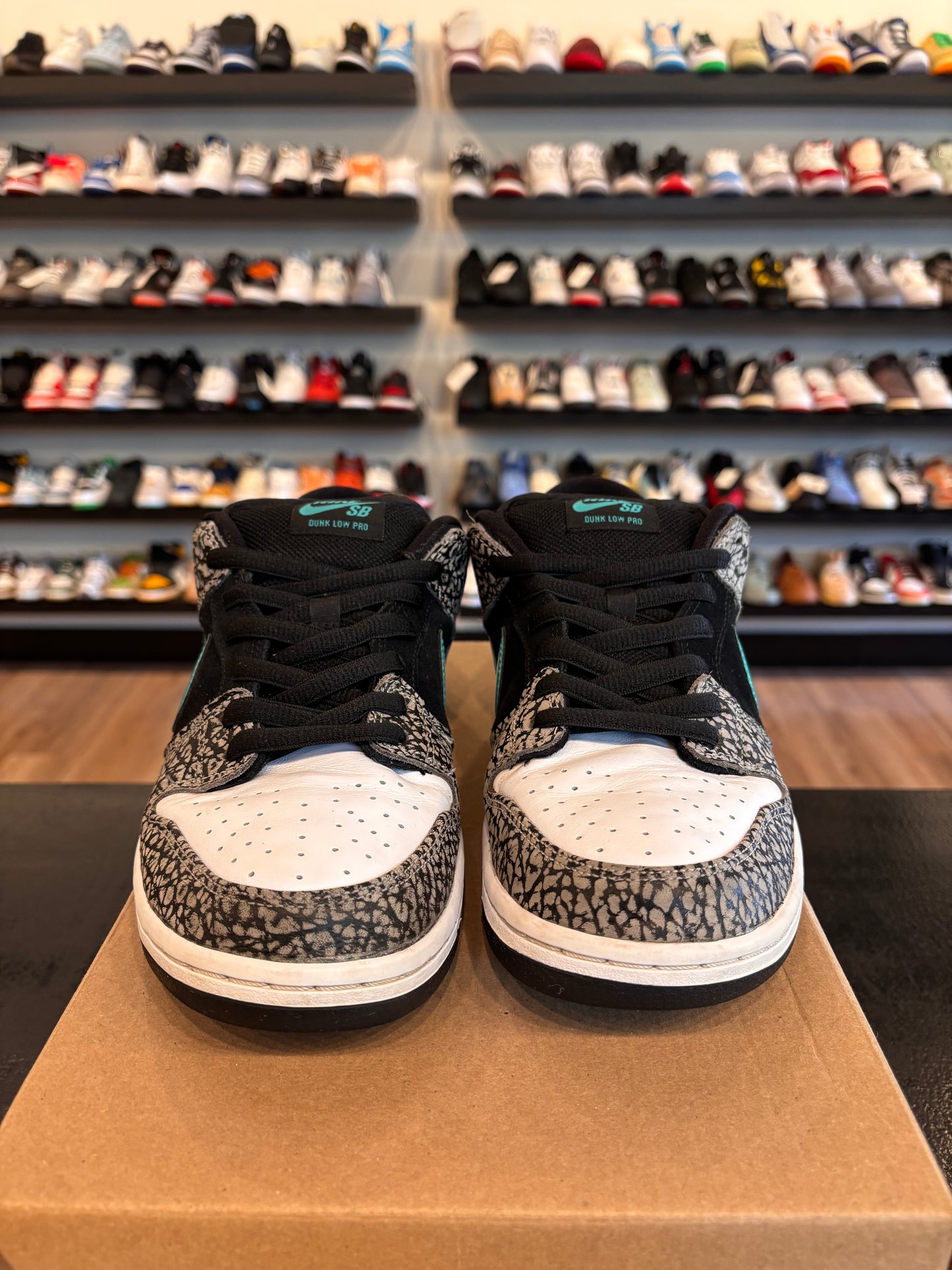Nike SB Dunk Low Atmos Size 9.5 Pre-Owned (No Box)