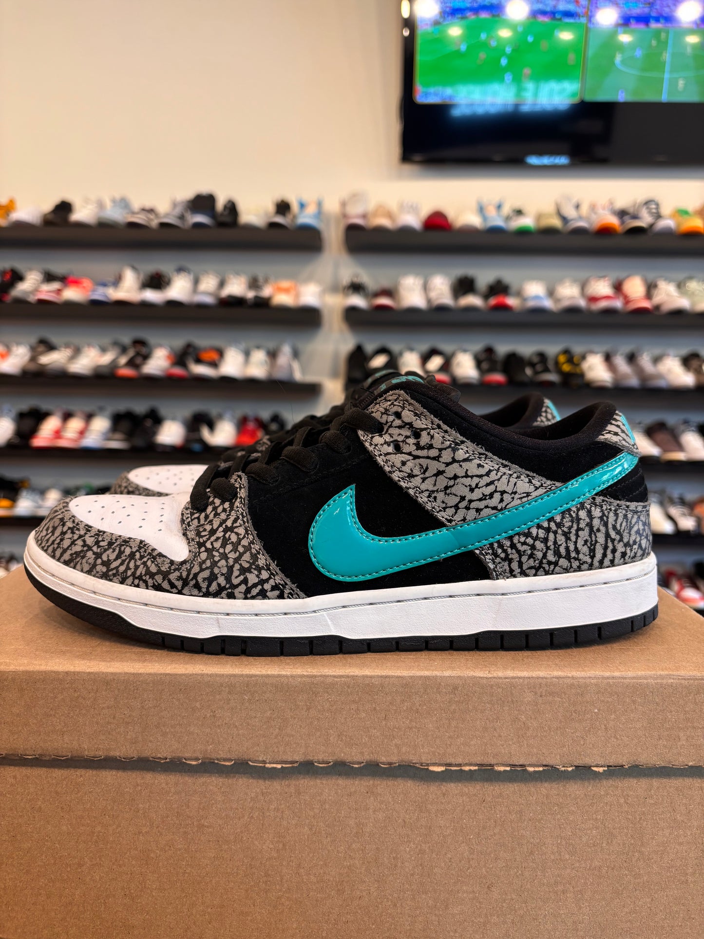 Nike SB Dunk Low Atmos Size 9.5 Pre-Owned (No Box)