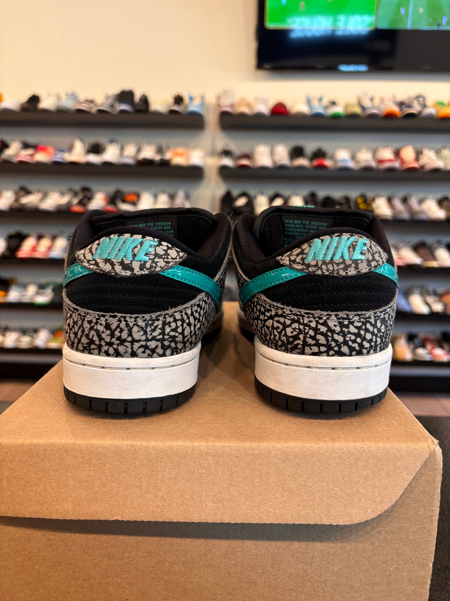 Nike SB Dunk Low Atmos Size 9.5 Pre-Owned (No Box)