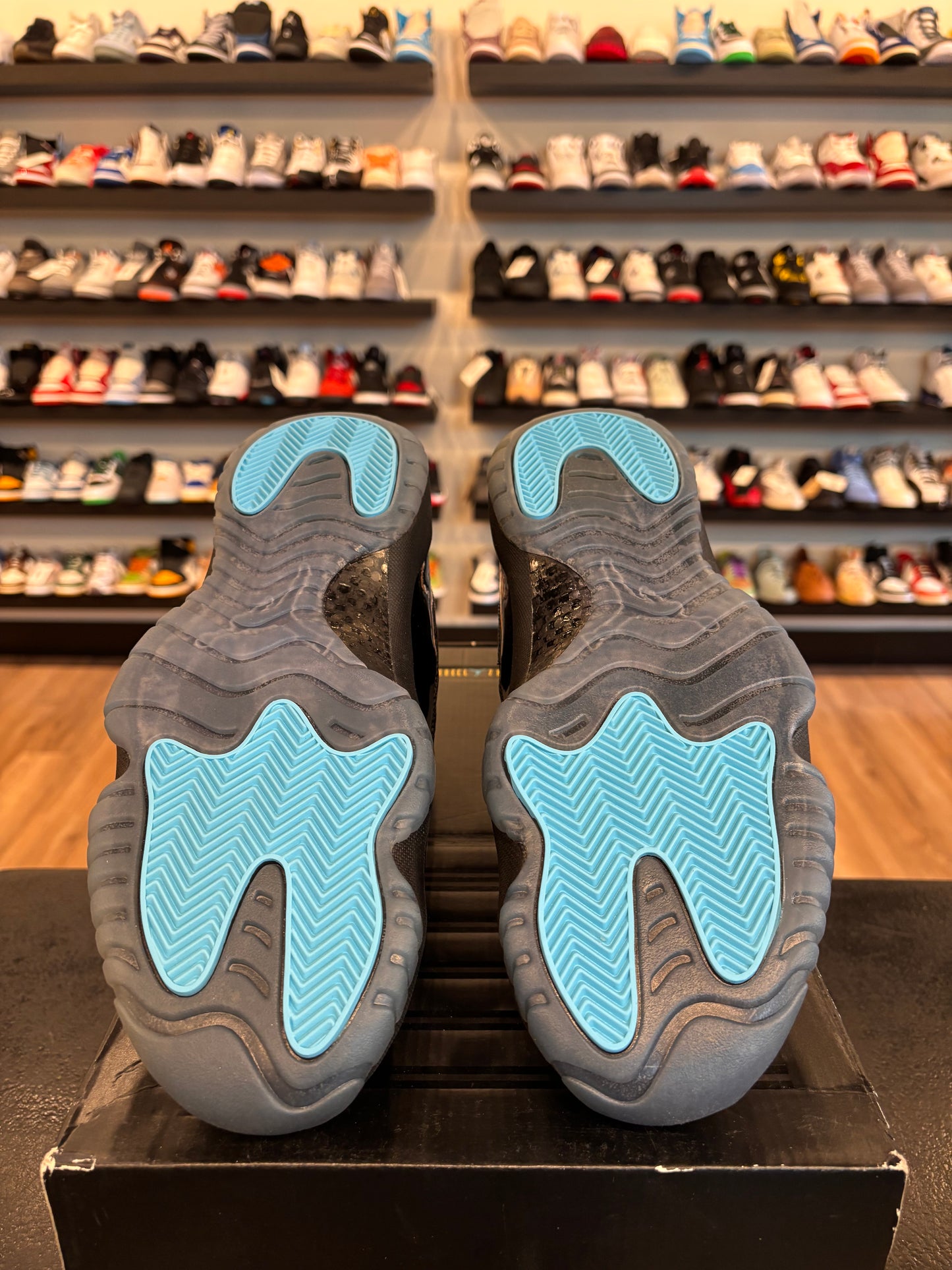 Jordan 11 Gamma 2013 Size 10 Brand New