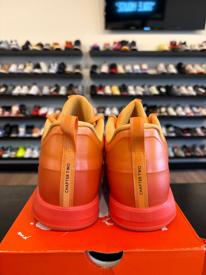 Nike Book 2 Phoenix Size 11 Brand New