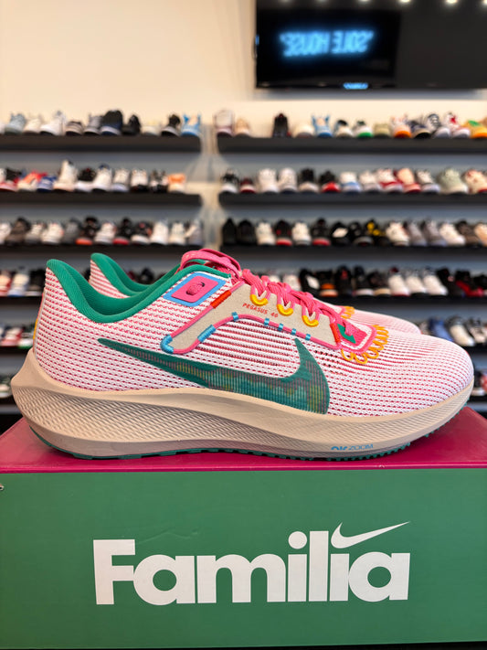 Nike Zoom Pegasus 40 Familia Size 10 Brand New