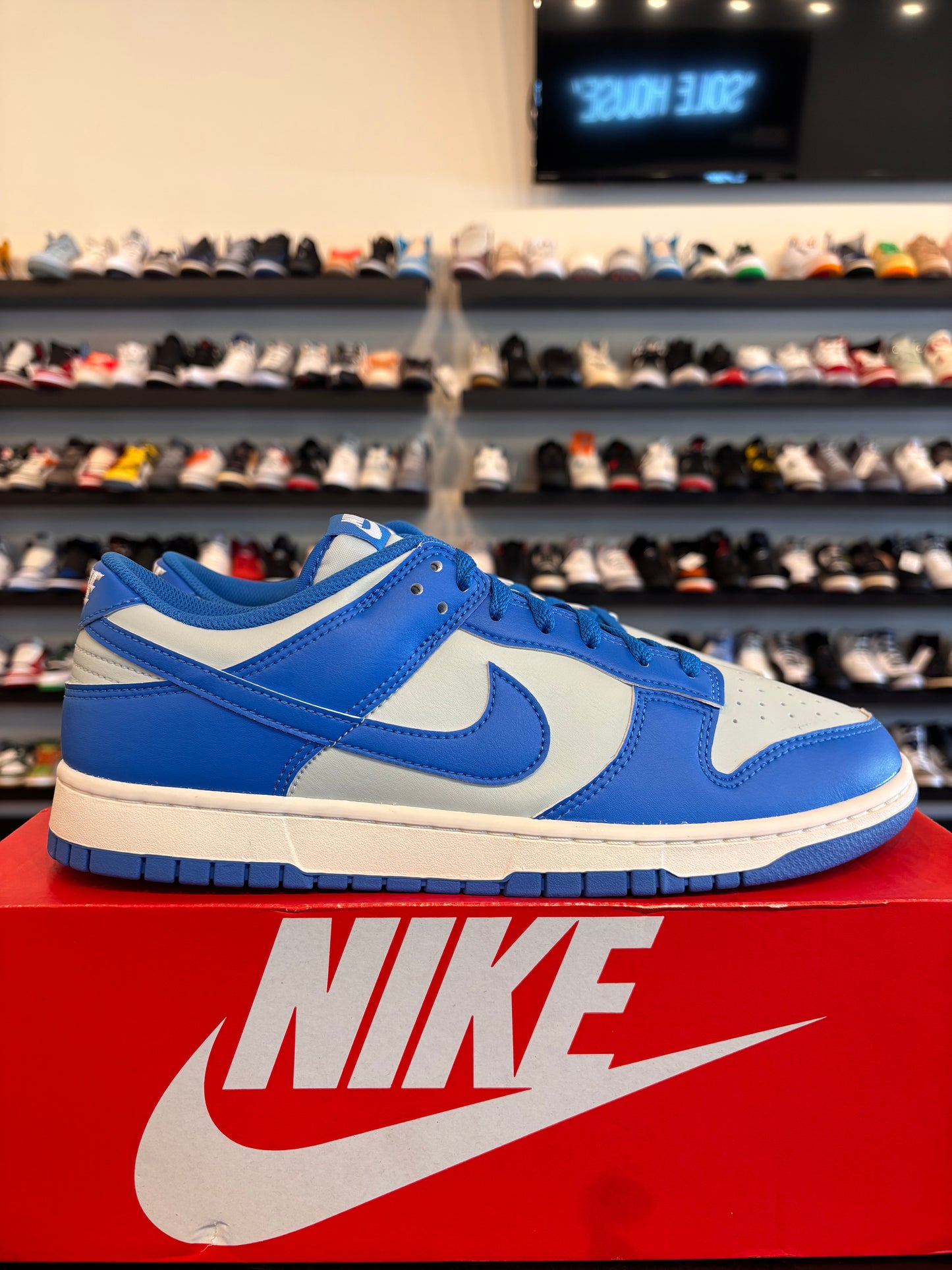 Nike Dunk Low Detroit Lions Size 11 Brand New