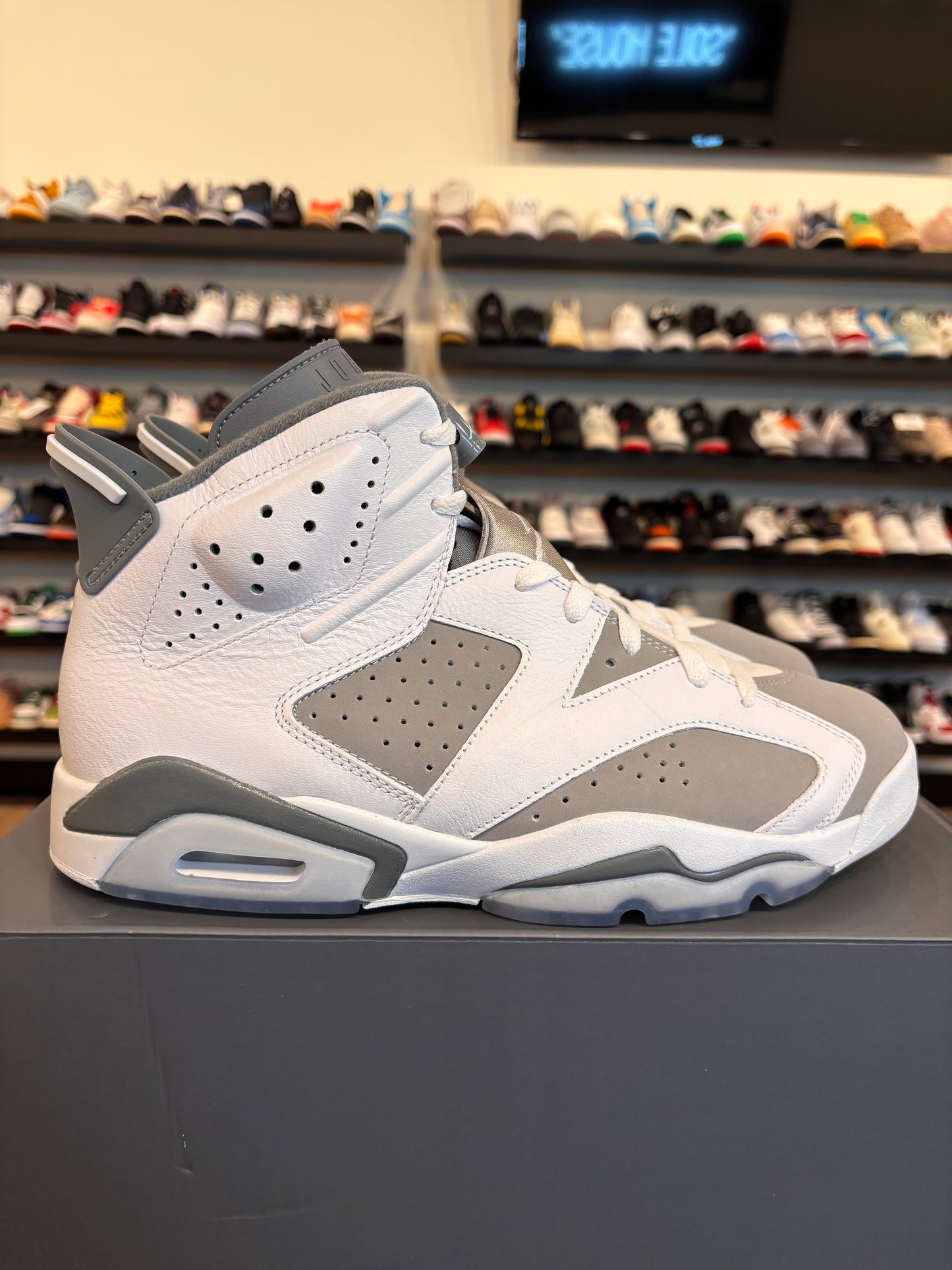 Jordan 6 Cool Grey Size 10.5 Brand New