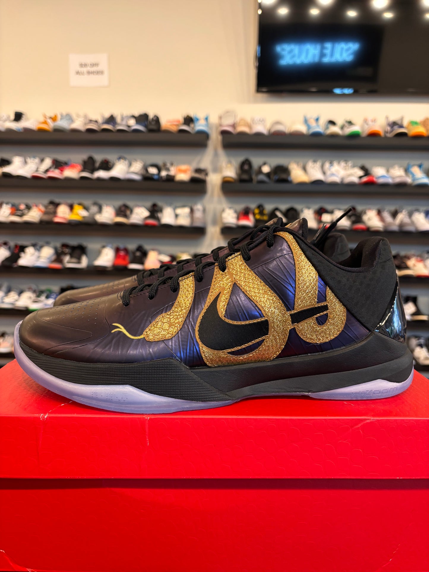 Nike Kobe 5 Protro Eggplant Size 11 Brand New