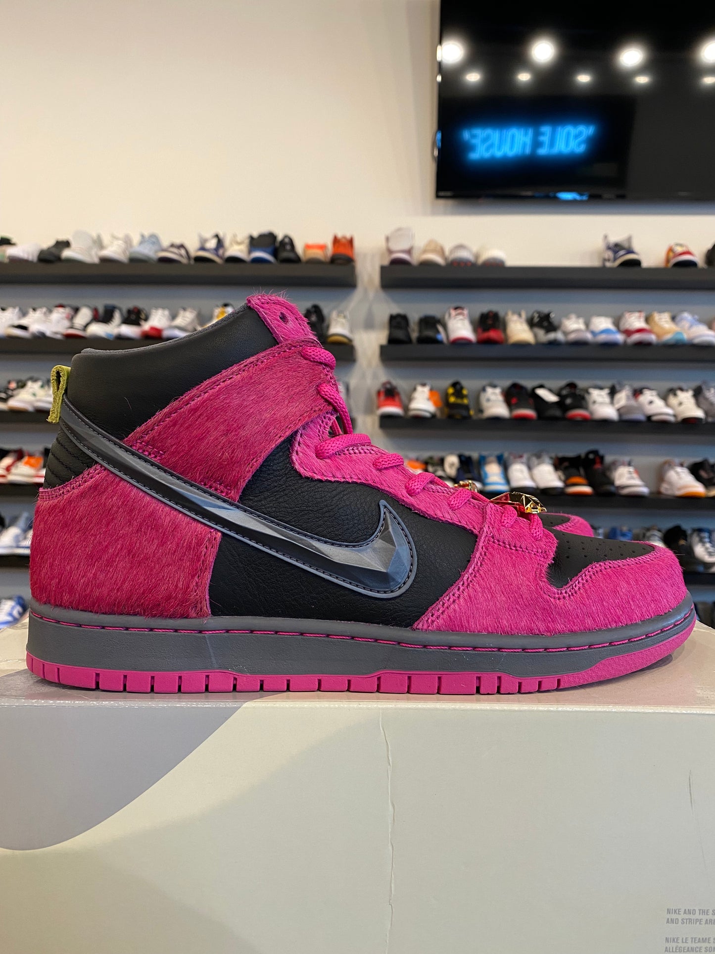 NIke SB Dunk Low Run The Jewel Size 10 Brand New