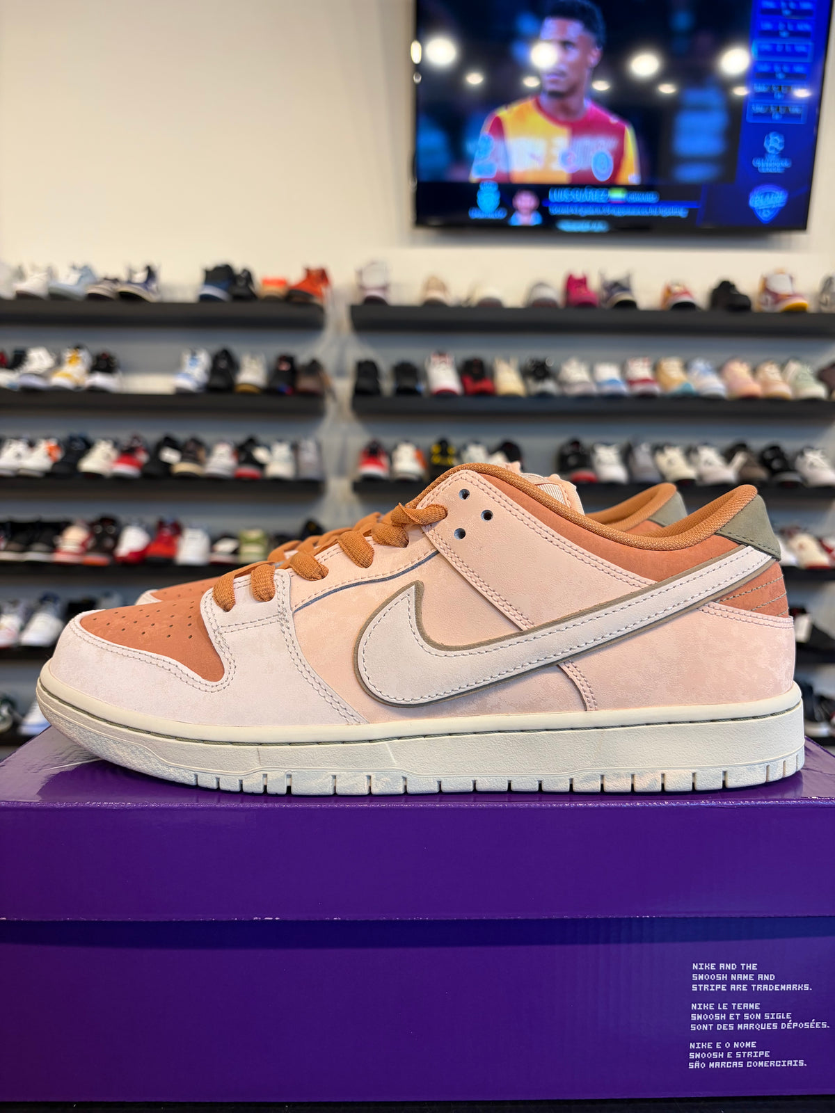 Nike SB Dunk Low Trocadero Gardens Size 12 Brand New