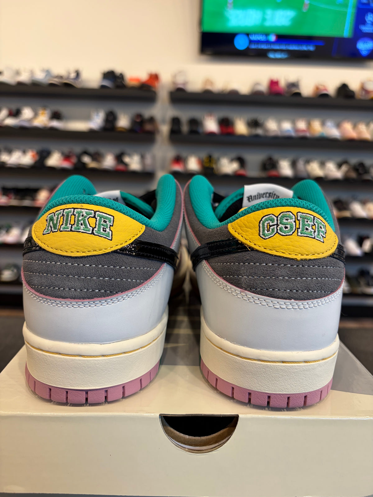 Nike SB Dunk Low Chameleon Size 11.5 Brand New