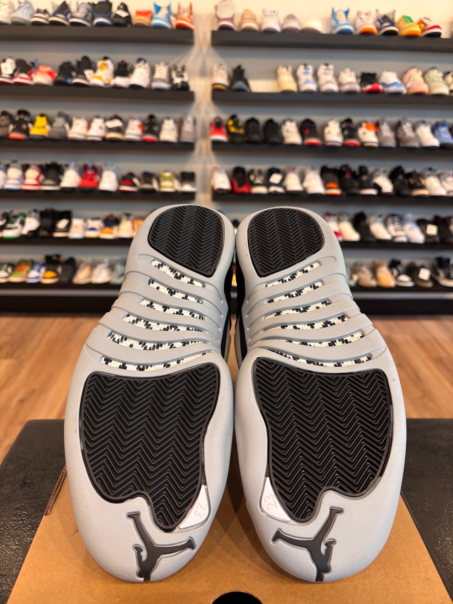 Jordan 12 Barons Size 10 Brand New