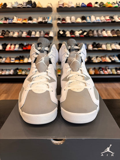 Jordan 6 Cool Grey Size 13 Pre-Owned