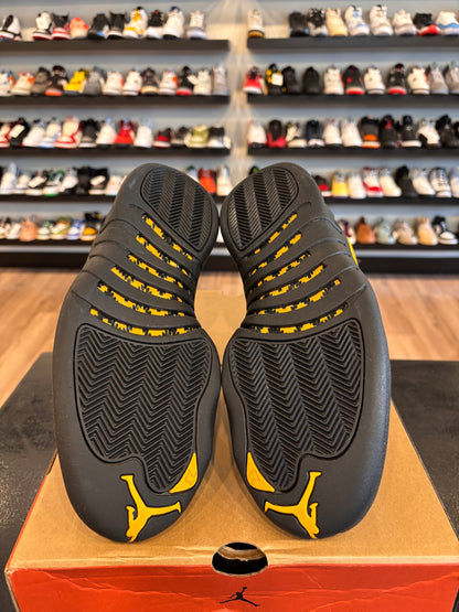 Jordan 12 University Gold Size 10.5 Pre-Owned